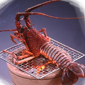 Grilled spiny lobster