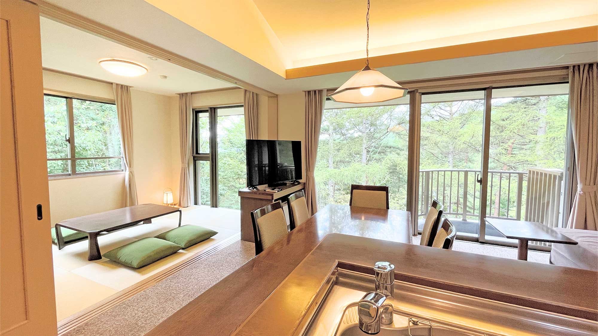 Living/dining room