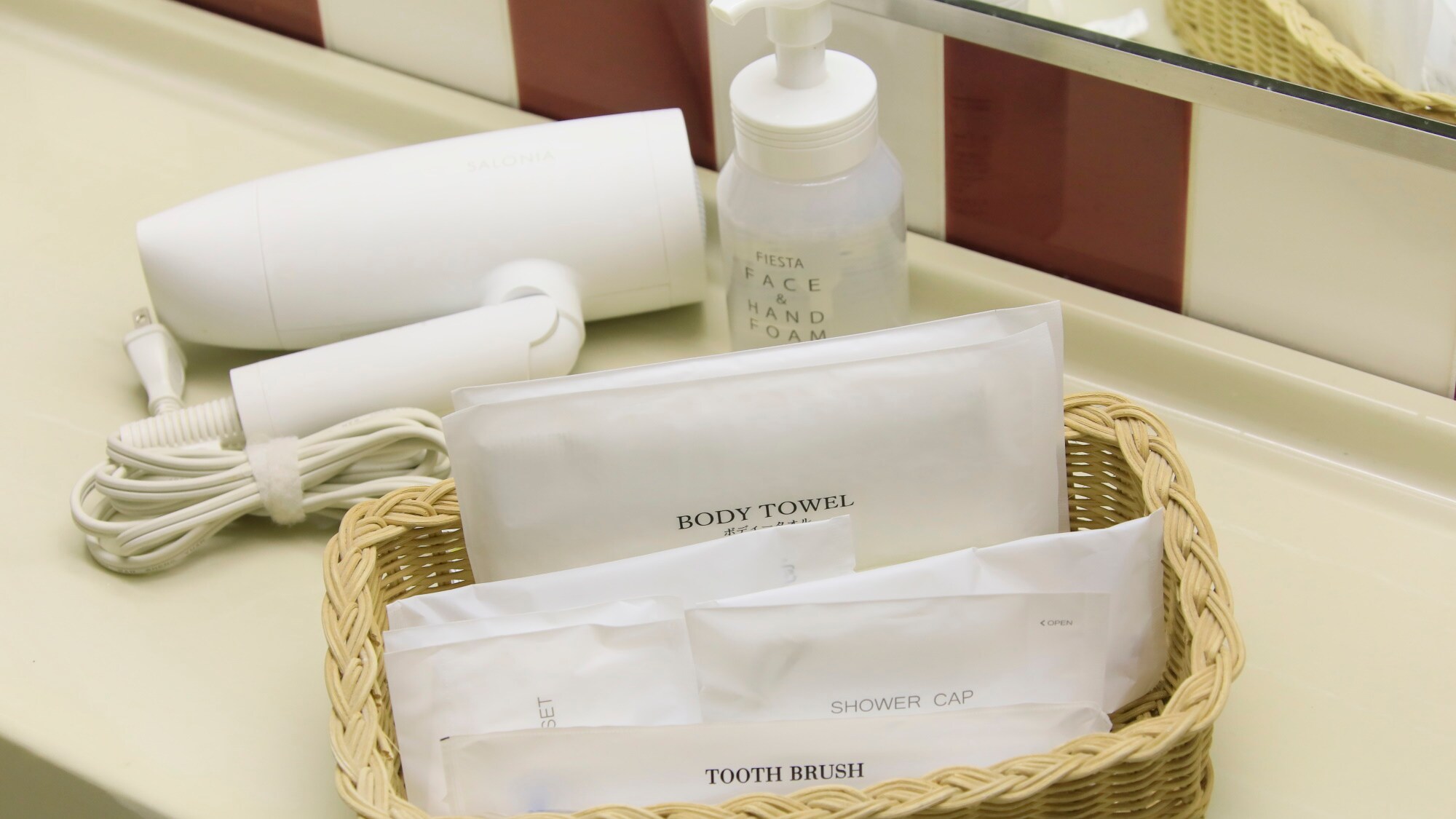 [Guest amenities] High-volume SALONIA hair dryers are provided.