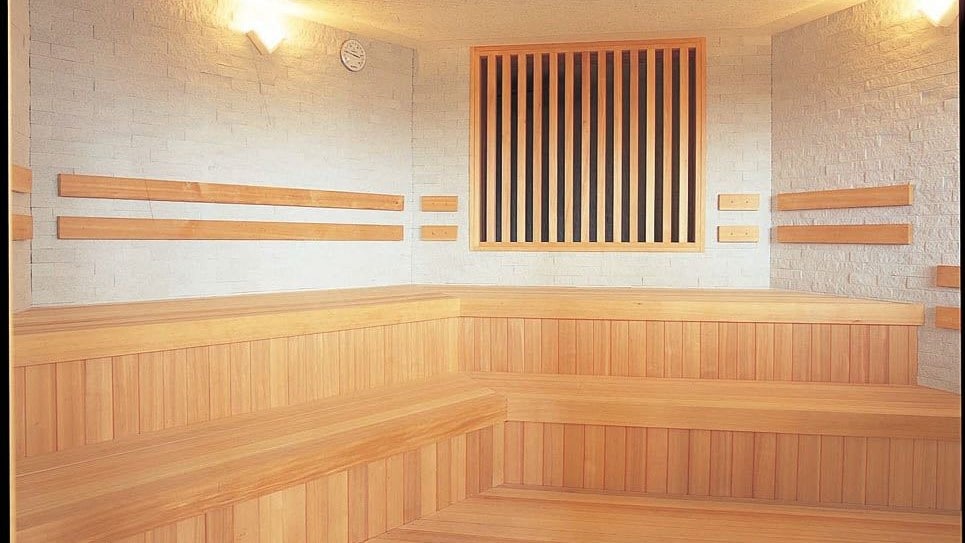  Sauna in the gym (charged)