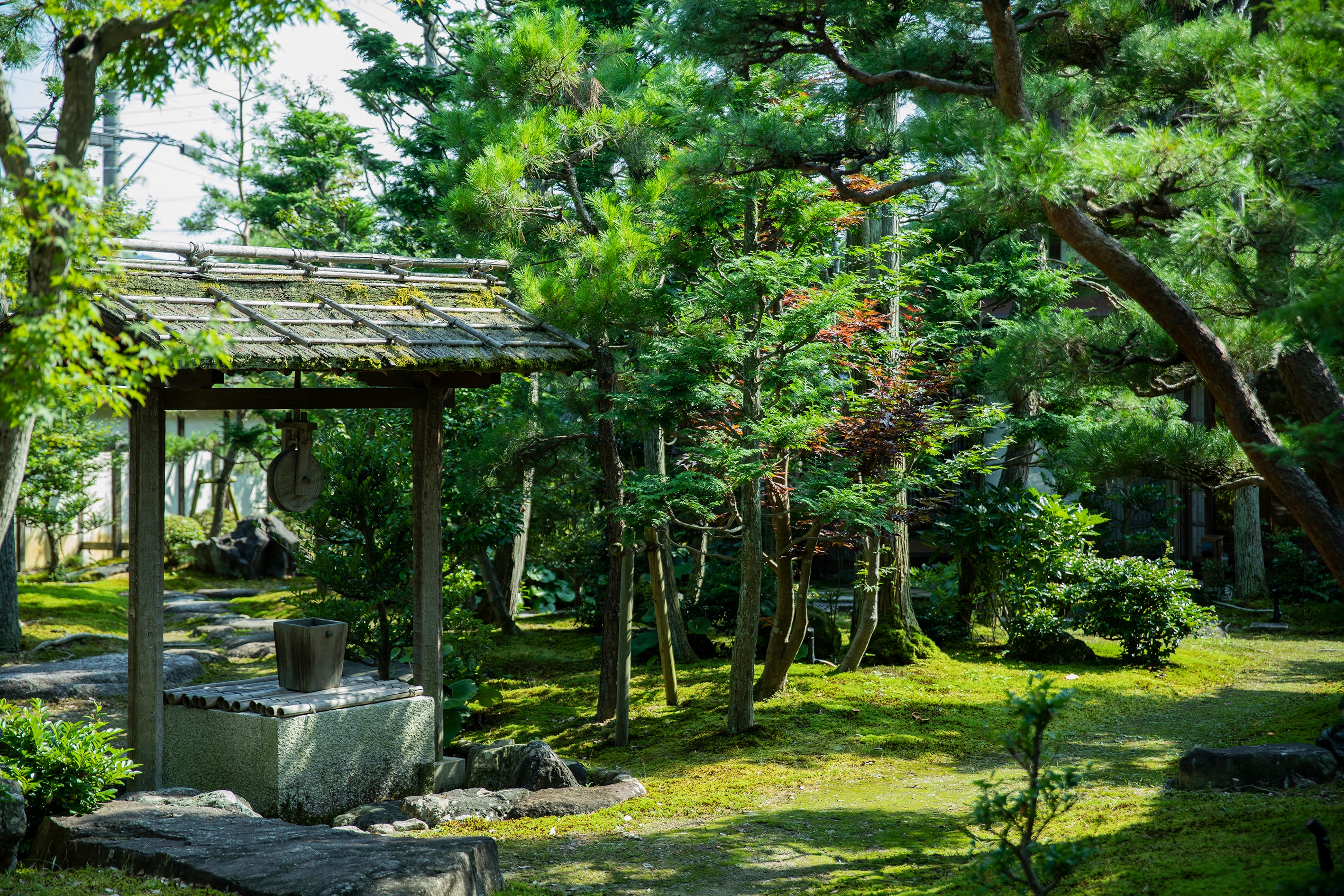 [Kediaman Tomura Ubei] Sebuah taman di sekolah Donkoryu. Telah dirancang dengan cermat agar terlihat indah dari setiap ruangan.