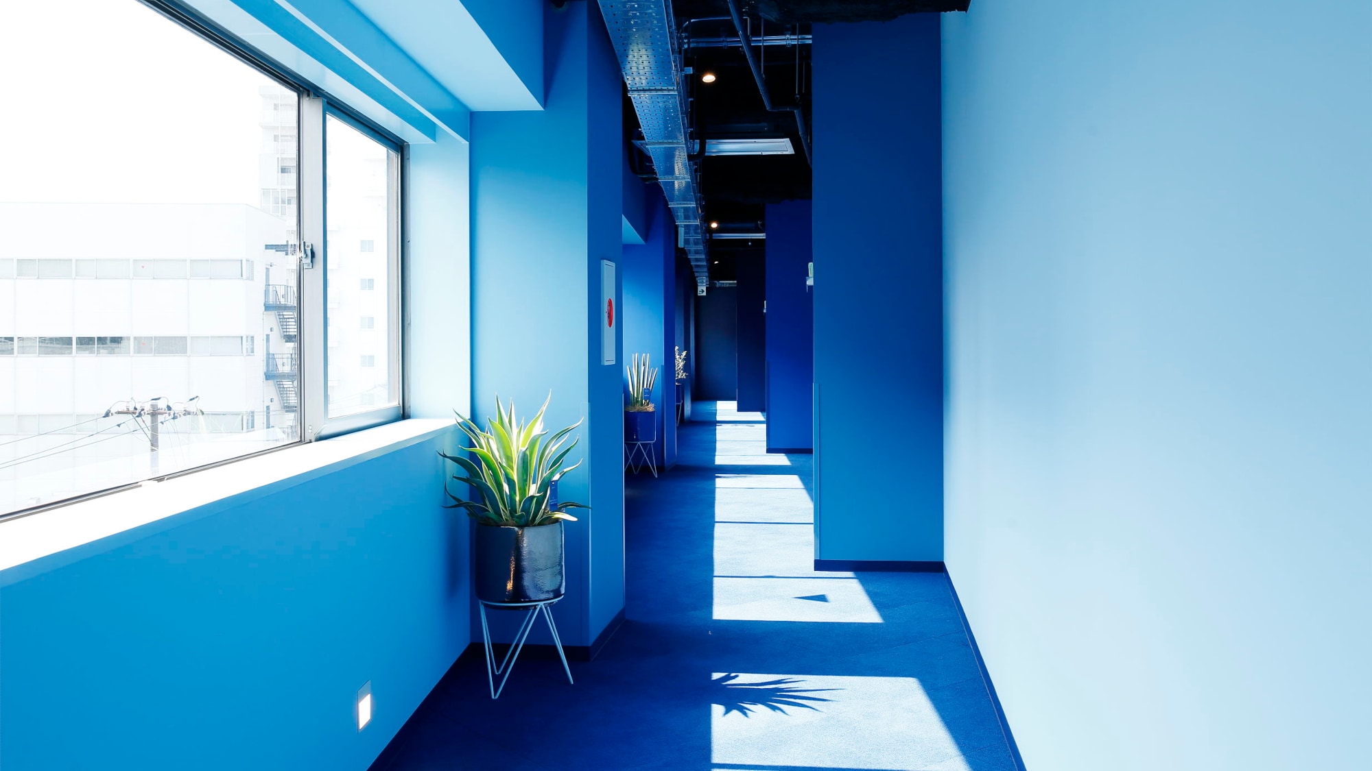Image of the hall