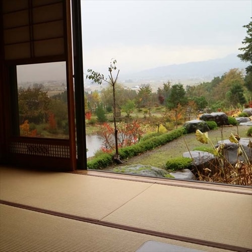 房间可欣赏白松树的美景