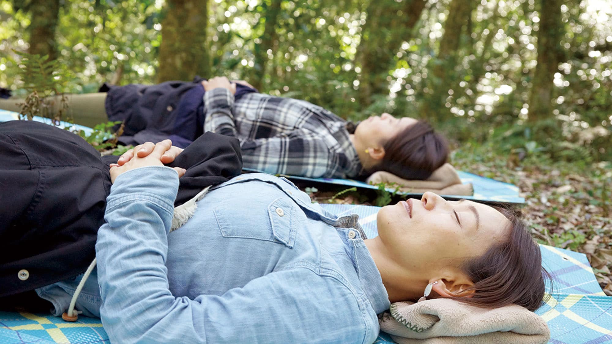 Terapi hutan di Lembah Inoyae