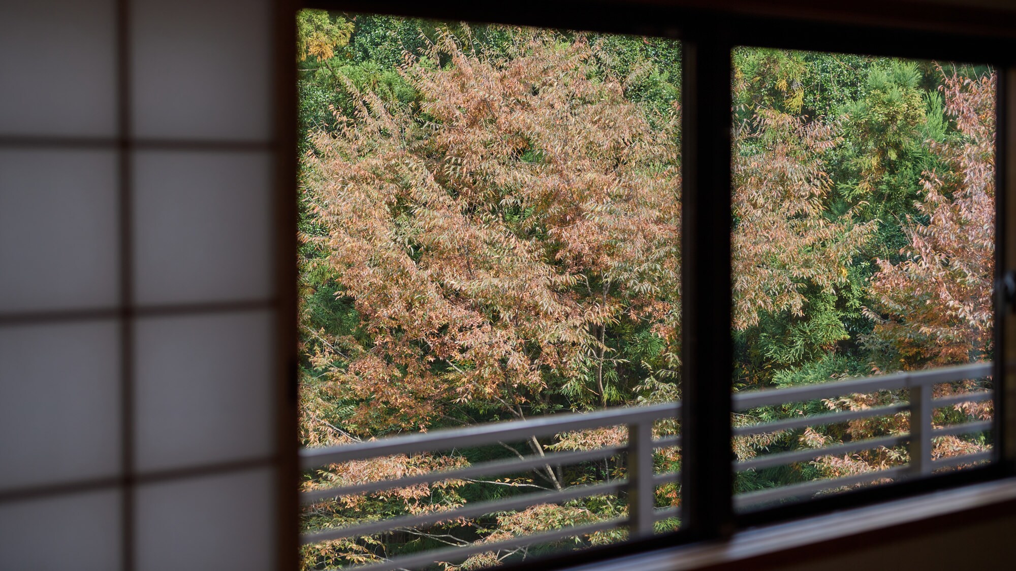 [Non-smoking] Japanese-style room for 1-4 people