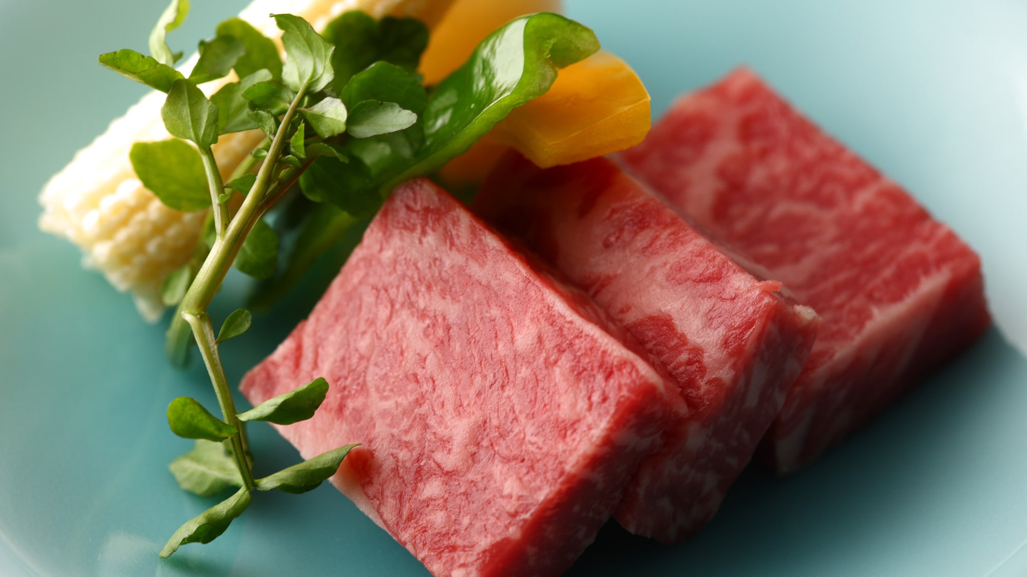 [Kaiseki] Image