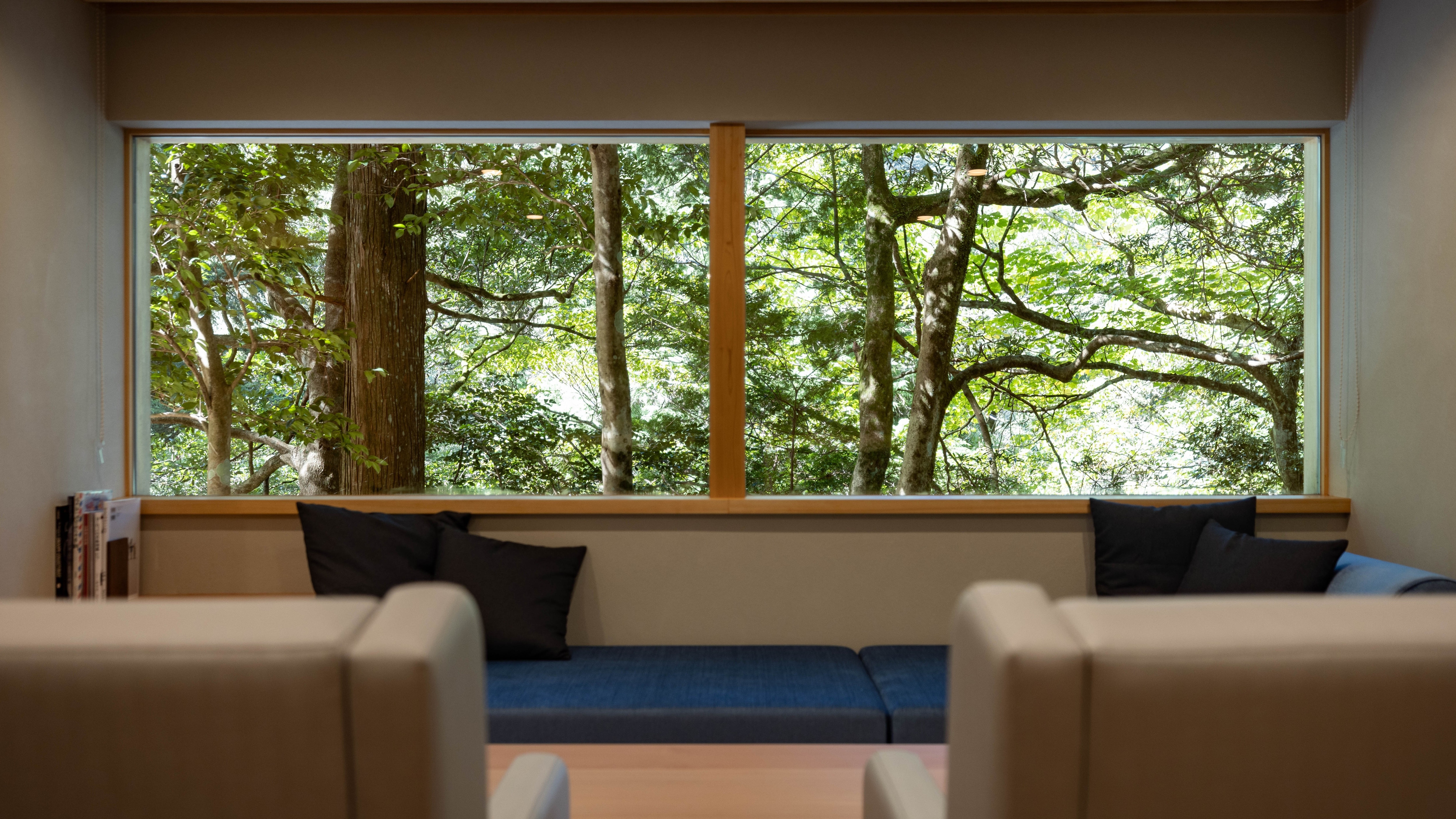 [Separate room with hot spring bath] Living room