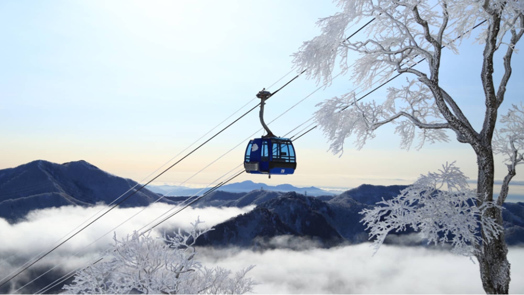 冬のドラゴンドラで絶景体験