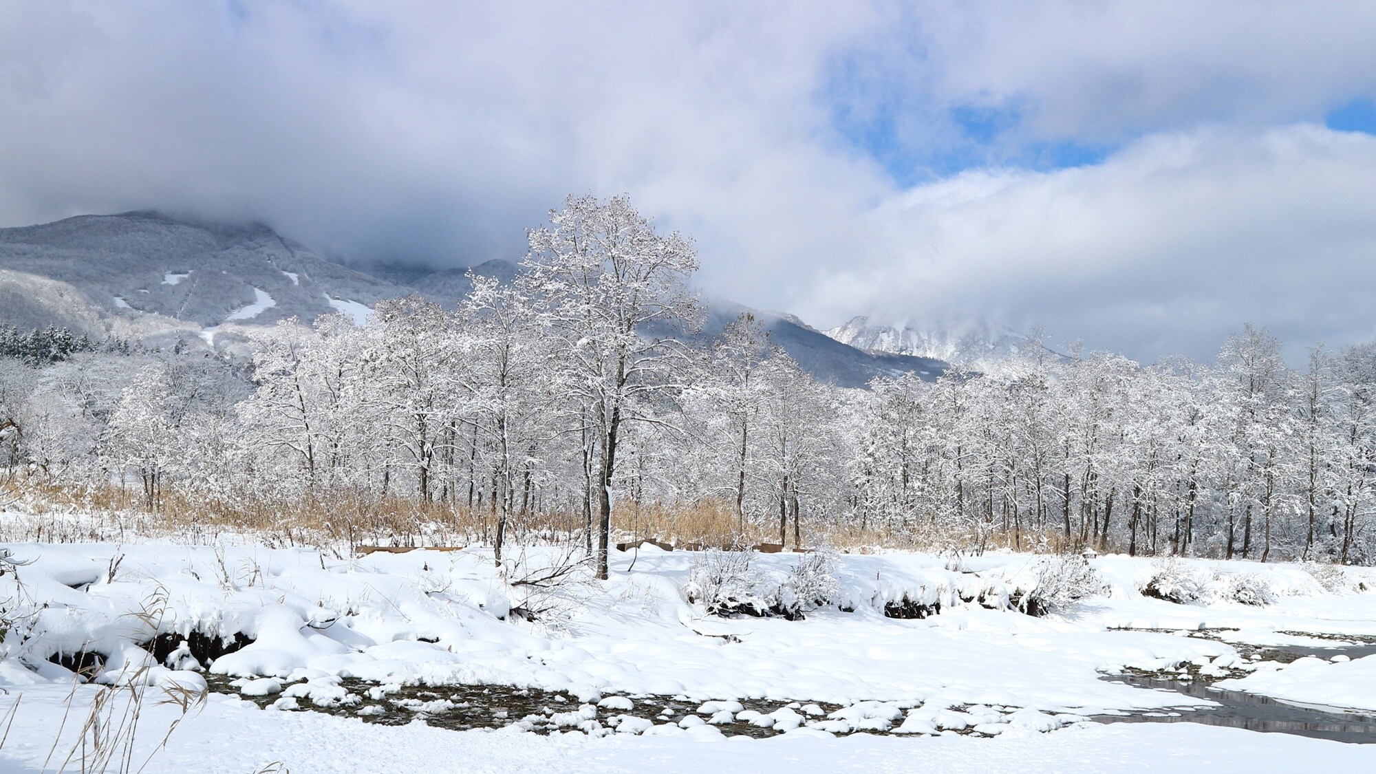 *Sightseeing in the area/Newt Pond in winter