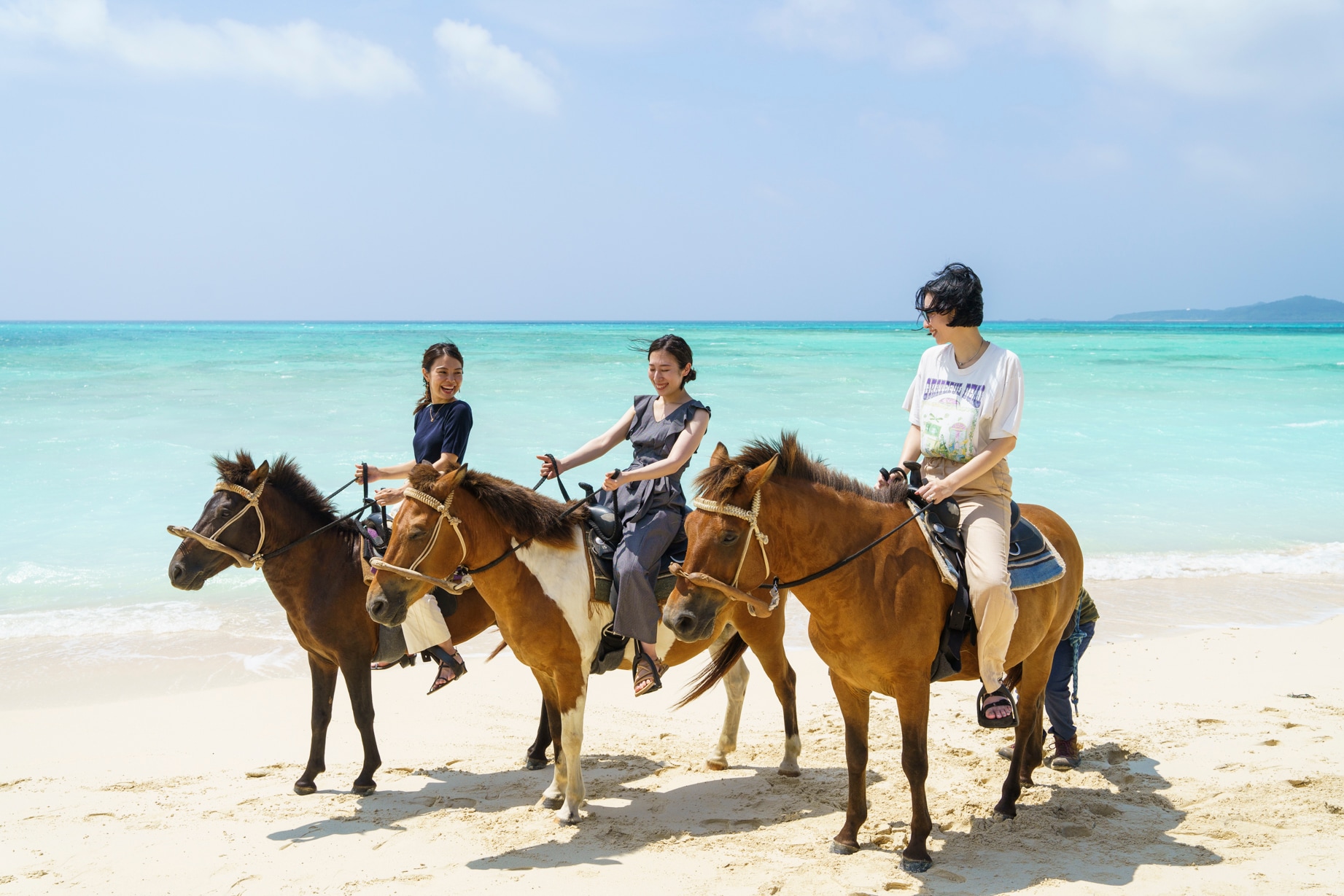 Horse riding experience