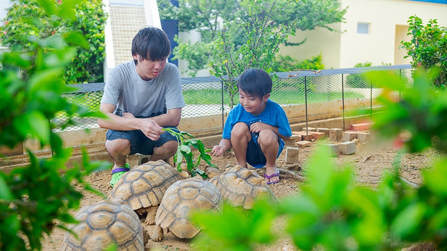 모구 모구 피크닉