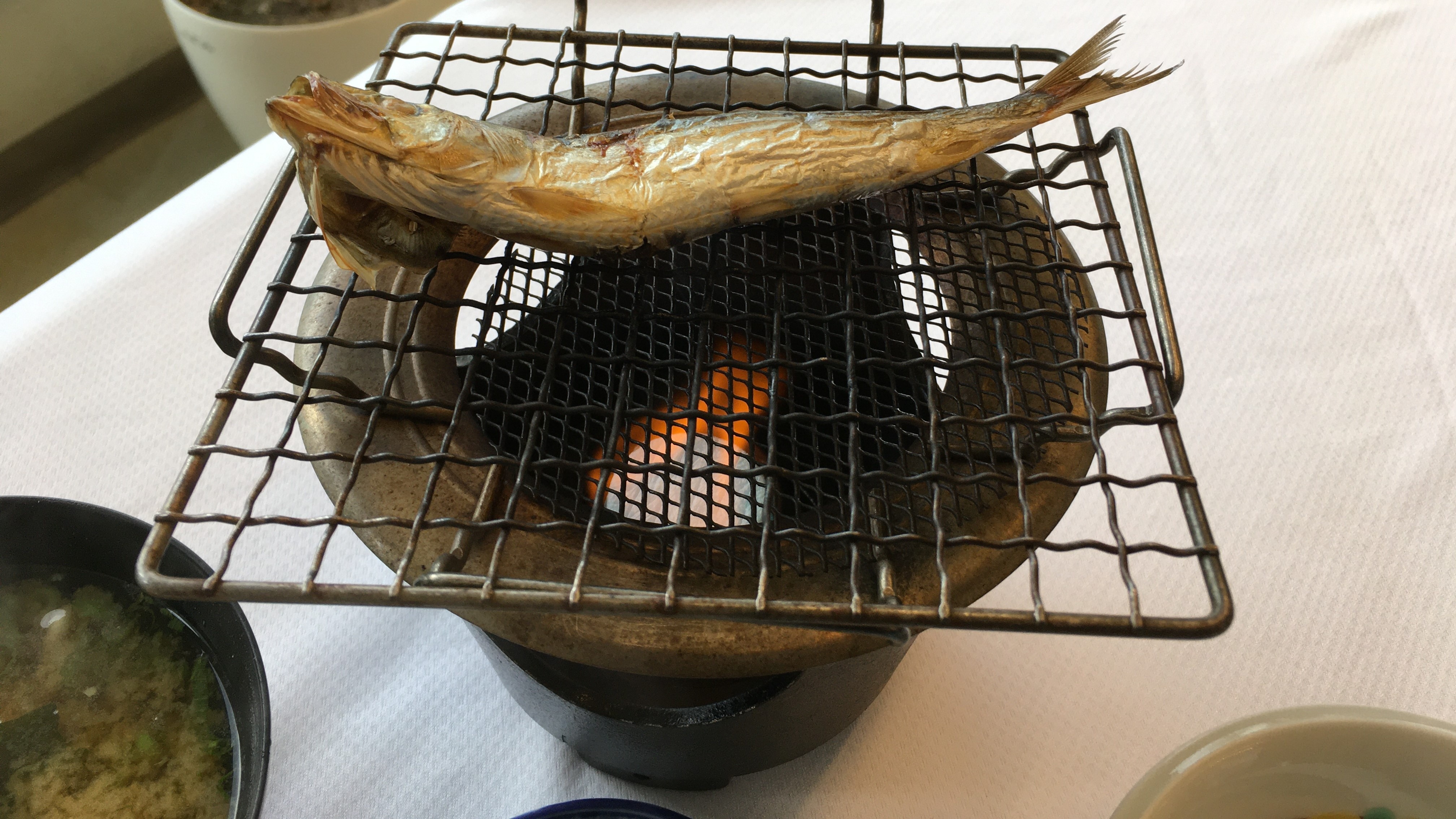 因為是現烤的，所以更加美味！干沙丁魚