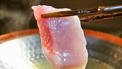 Kế hoạch cá hồng mắt vàng