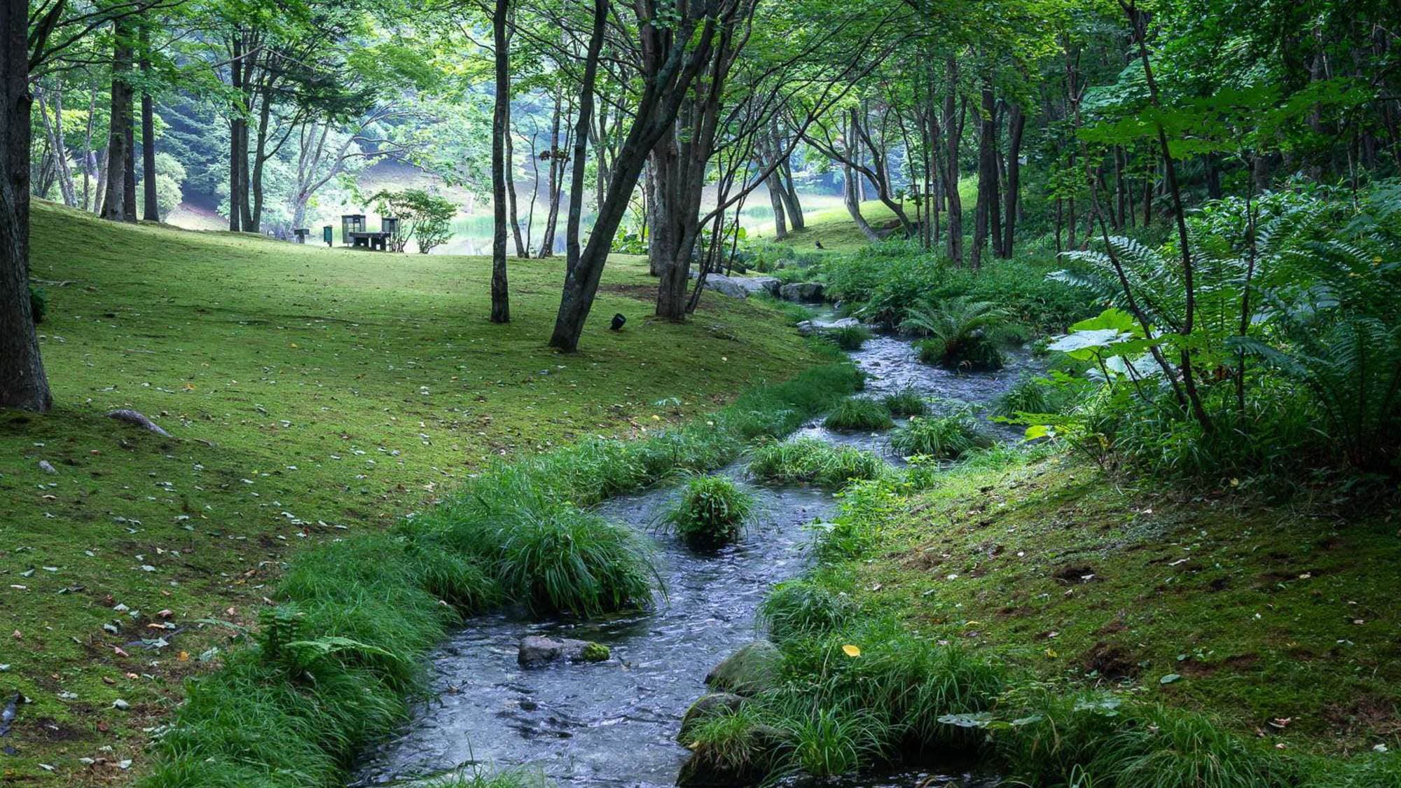 Surrounded by a vast forest of 5 million square meters, "Nidom" is an Ainu word that means "rich forest."