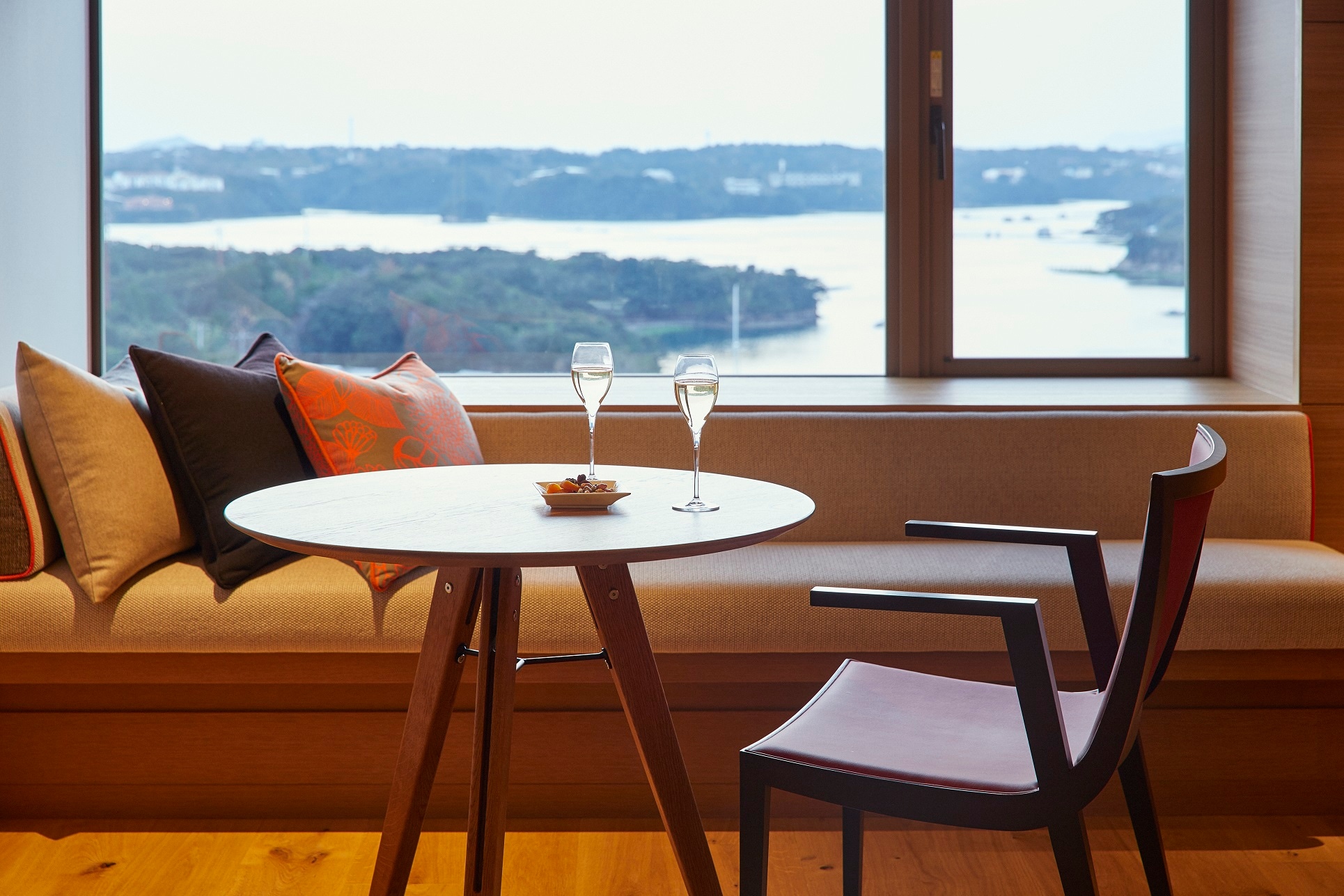 Premium Suite Image