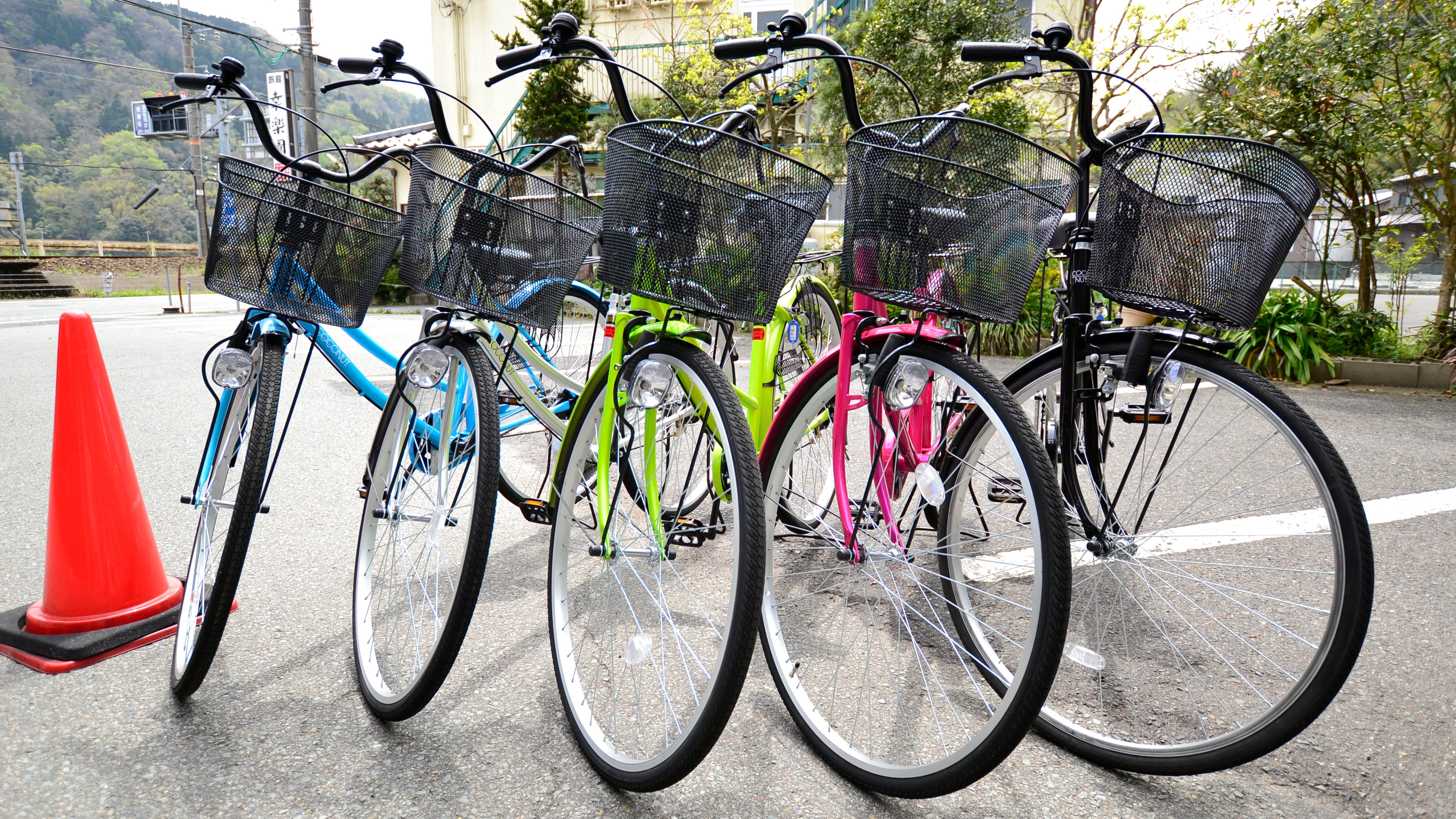 Free bicycle rental