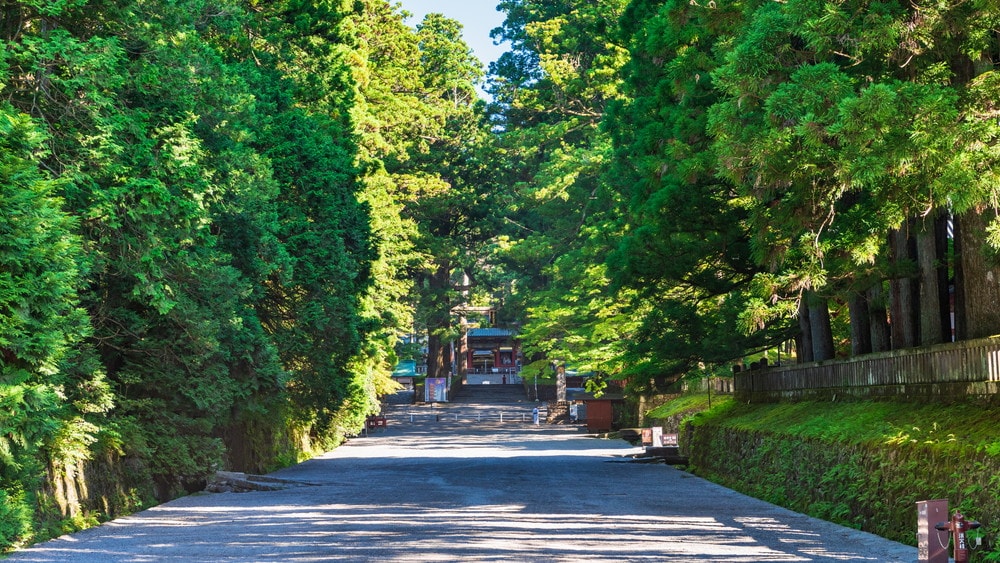 Approach to Toshogu Shrine