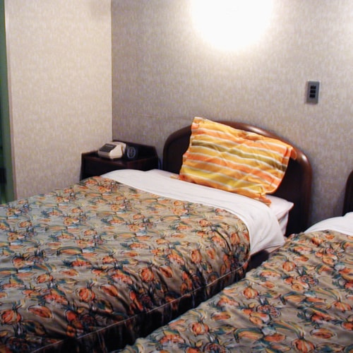 Western-style twin room