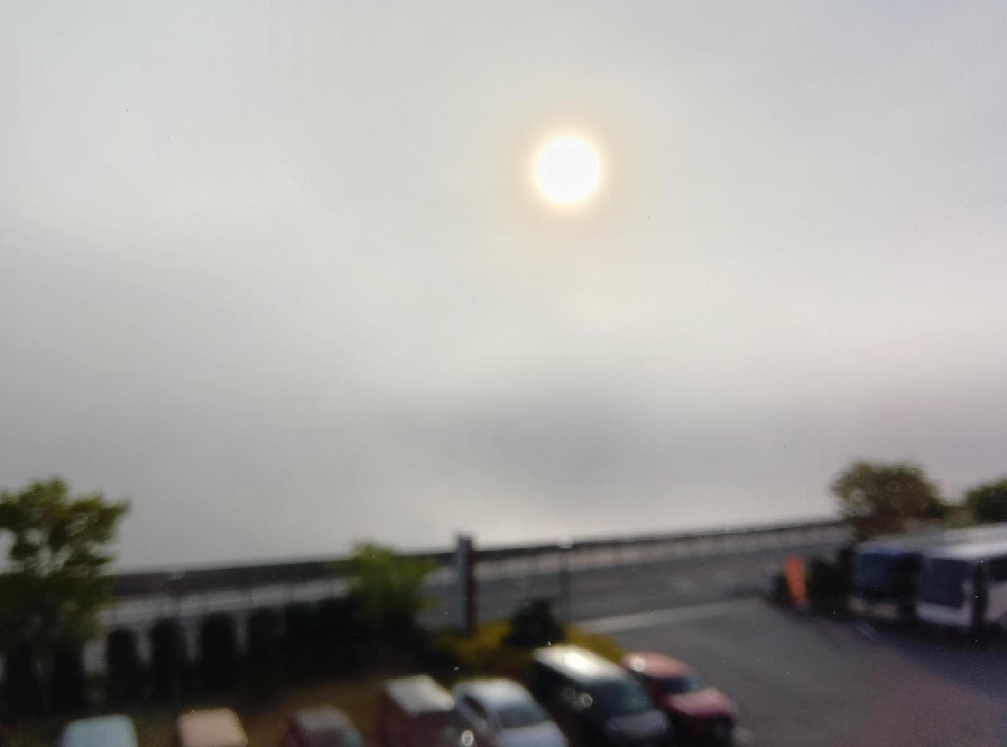 1000006569.jpg