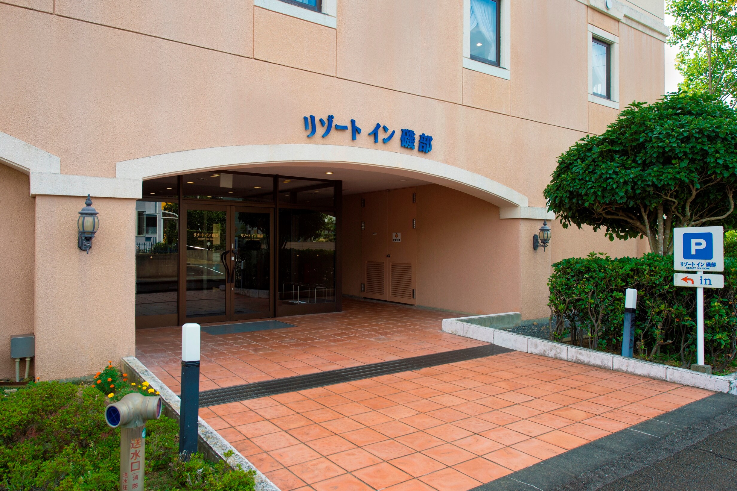 Appearance②