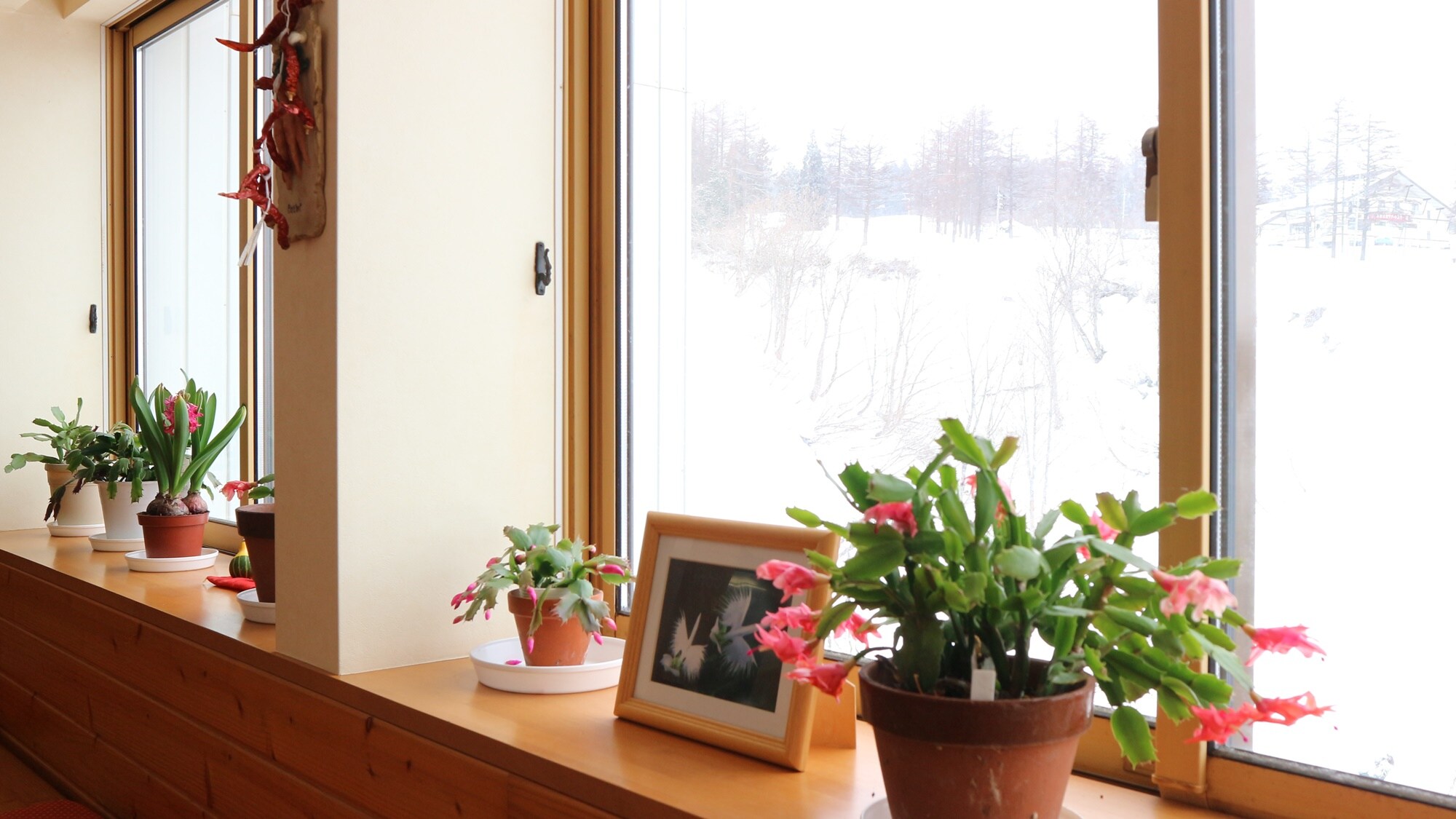 *Dining room: A bright dining room overlooking the snowy mountains
