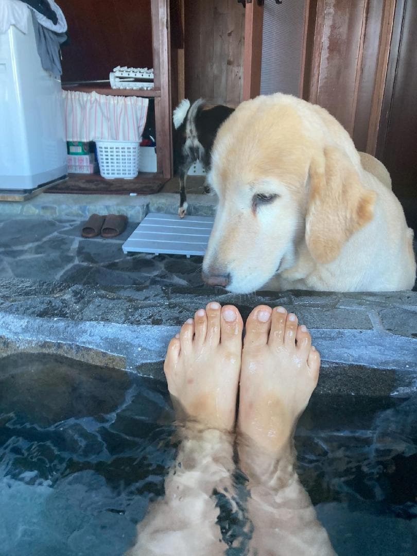 1000037919.jpg