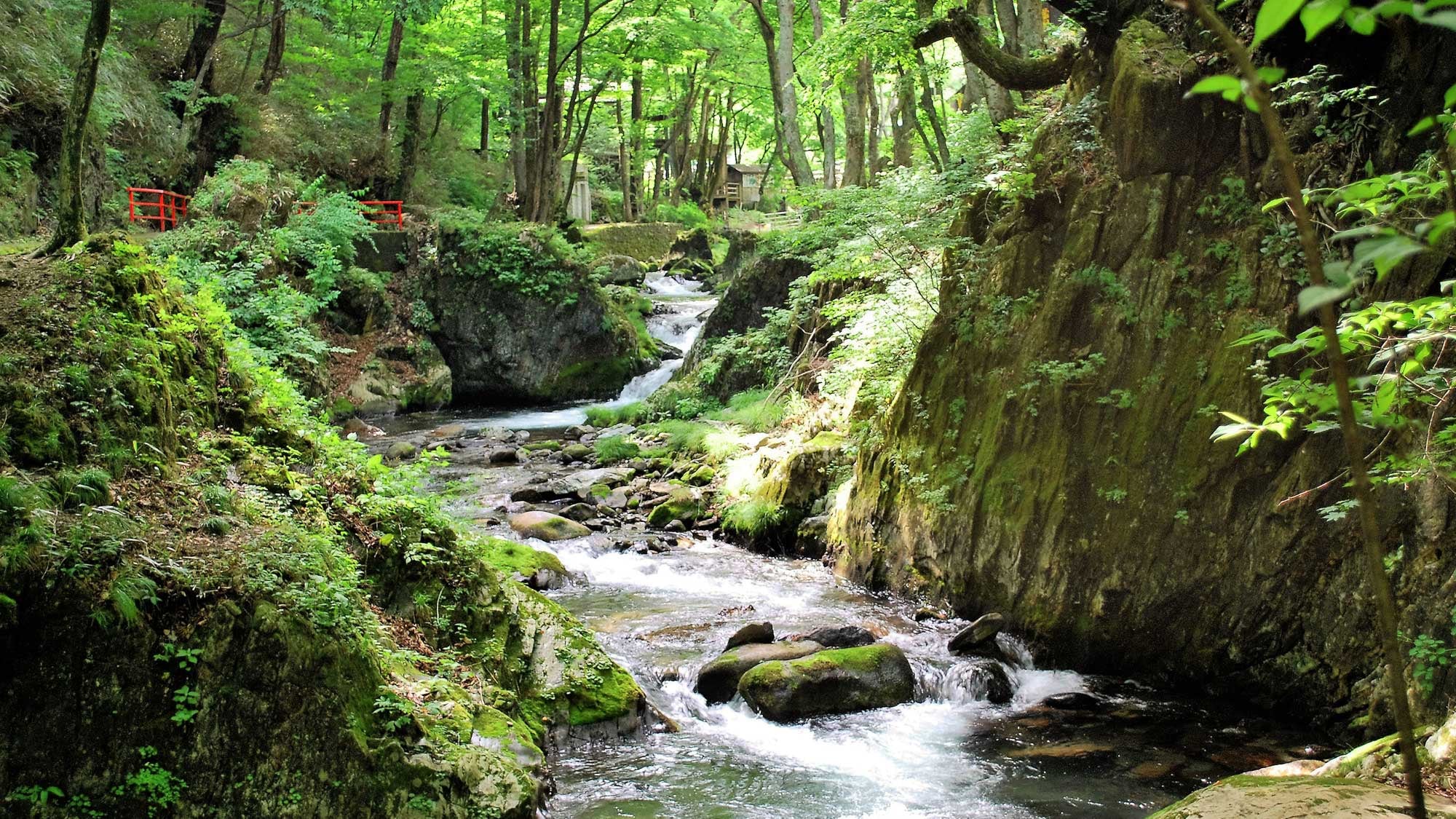 [Surrounding scenery] The mountain stream through which Ryusendo Cave's clear water flows is covered in moss and is lush with greenery, making for a spectacular sight.