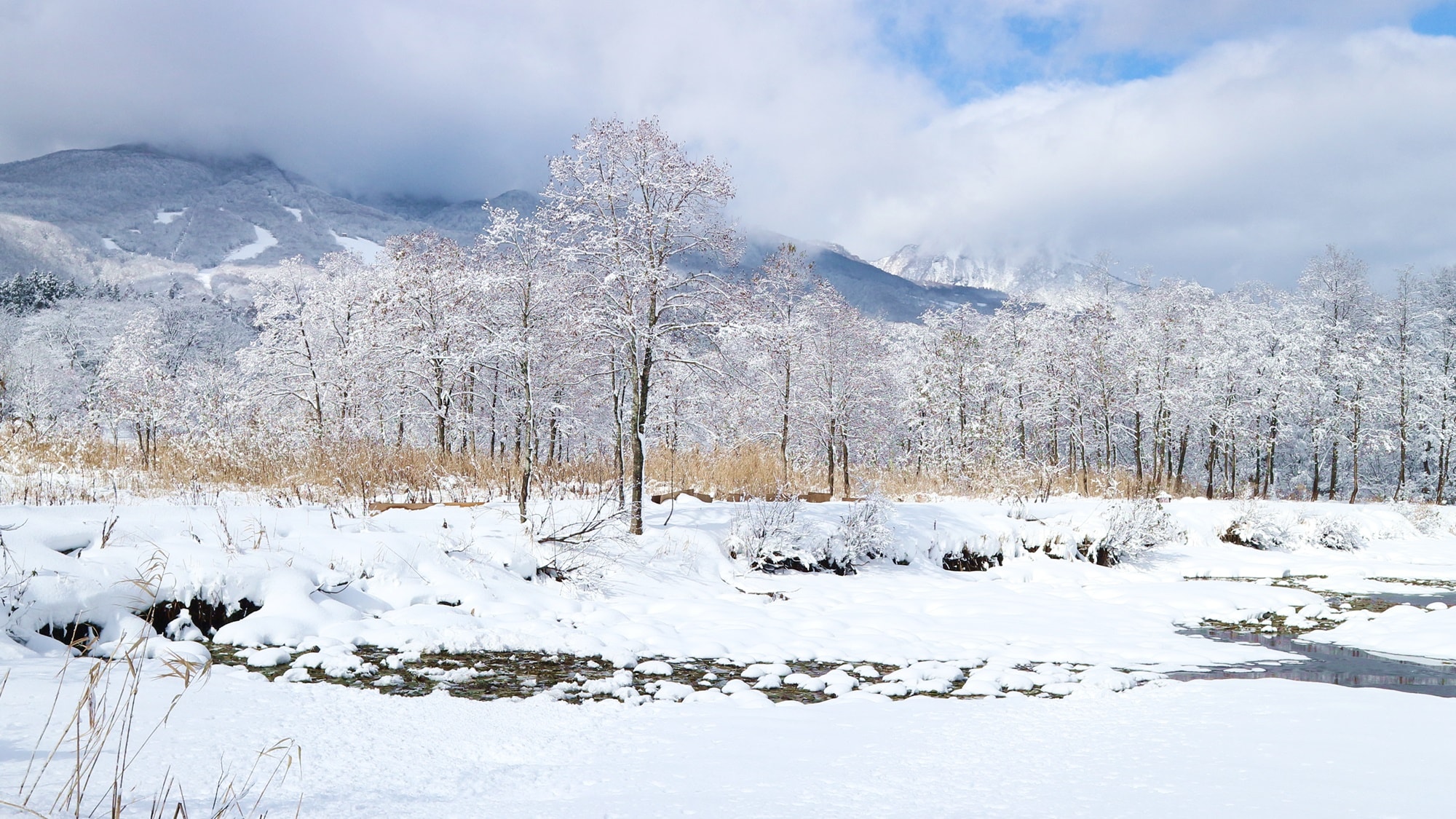 *[ภาพบ่อน้ำอิโมริในฤดูหนาว] ไม่เพียงแต่ความเขียวขจีสดชื่นเท่านั้น แต่ภูเขาเมียวโกะที่ปกคลุมไปด้วยหิมะก็สวยงามเช่นกัน!