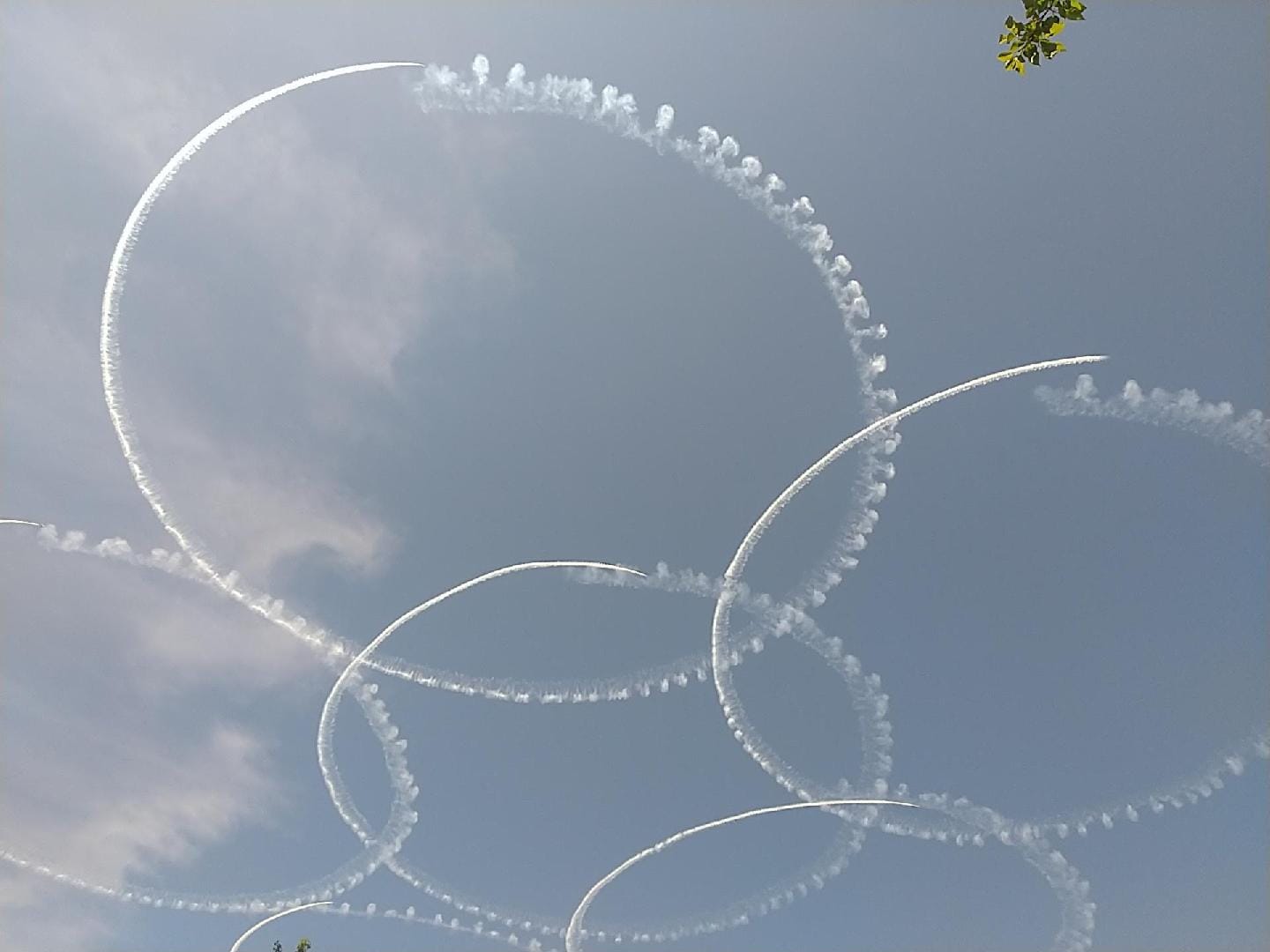1000022057.jpg