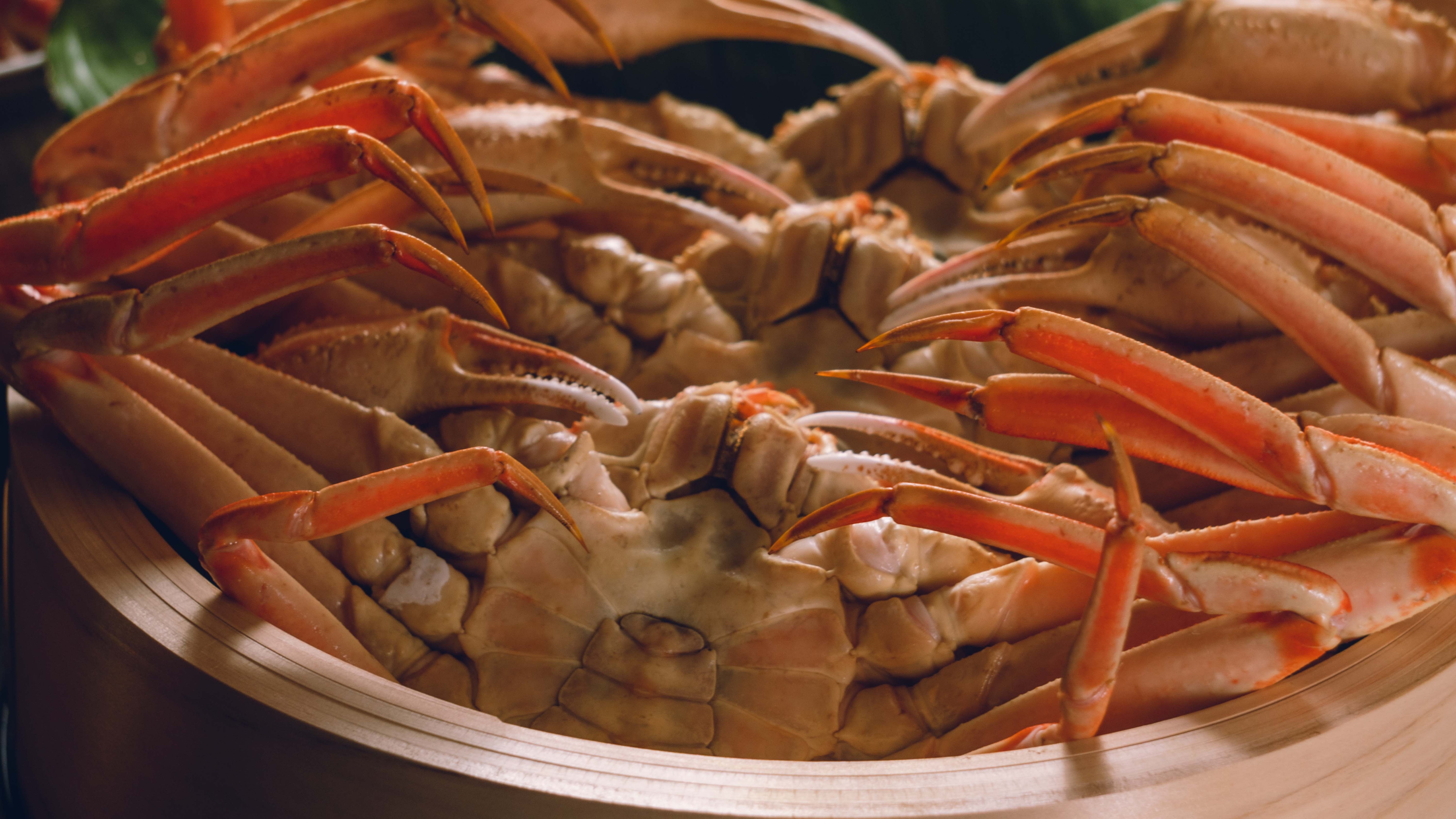 Xin hãy thưởng thức món "cua tuyết thật" ngon tuyệt của chúng tôi