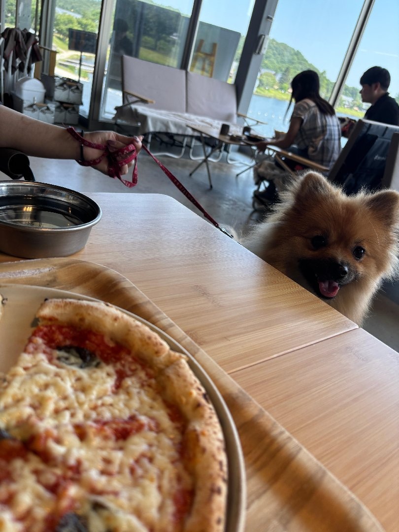 IMG_0906.jpeg