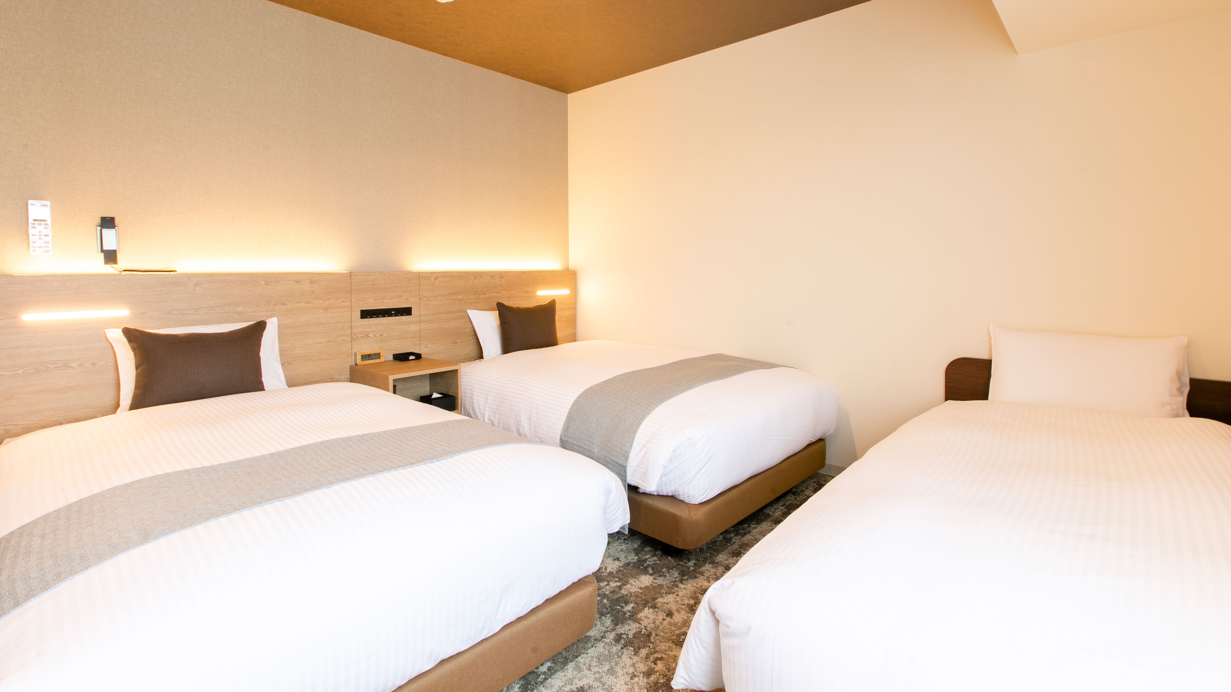Deluxe Twin Room (Triple Room Available)