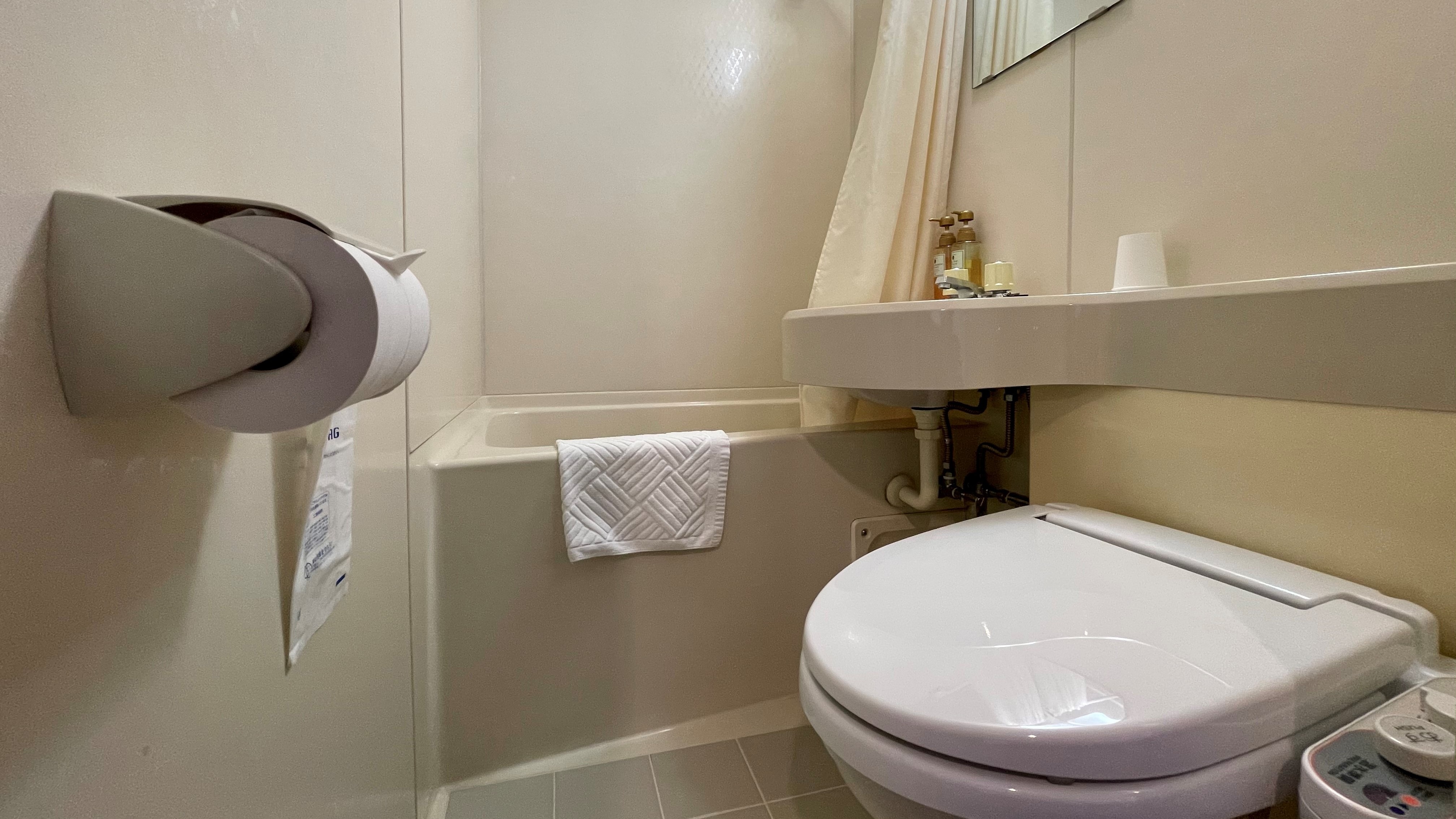 표준 욕실. 워슈렛트 첨부의 컴팩트한 유닛 버스입니다.