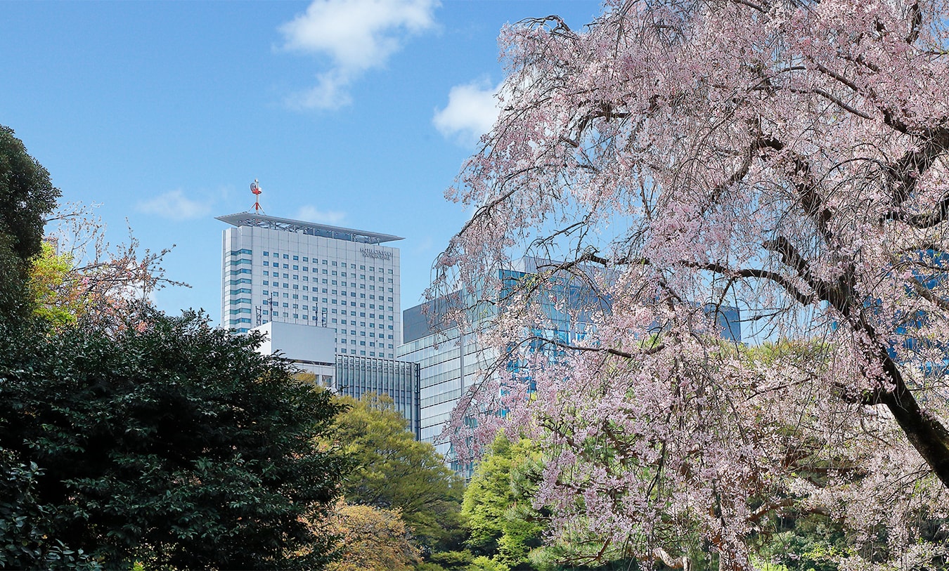 Hotel exterior as seen from Shinjuku Gyoen (spring)