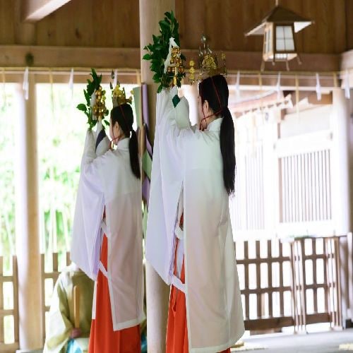 Morning and evening offerings at Miho Shrine
