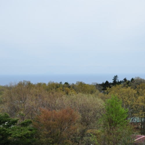 [Room 203] The view of the sea is outstanding