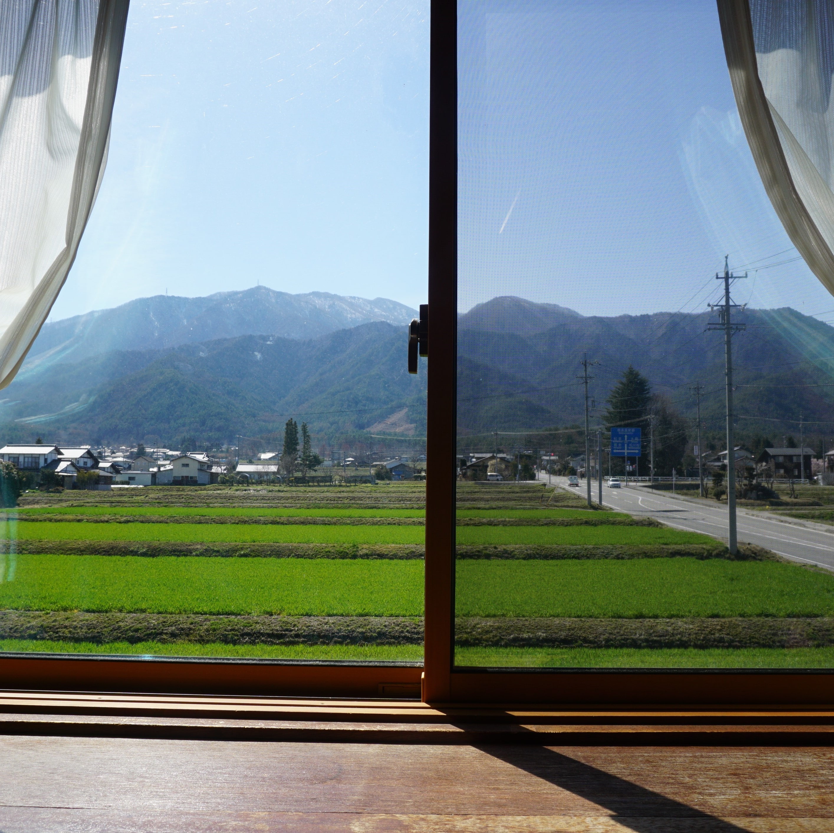 从客房窗户看到的风景