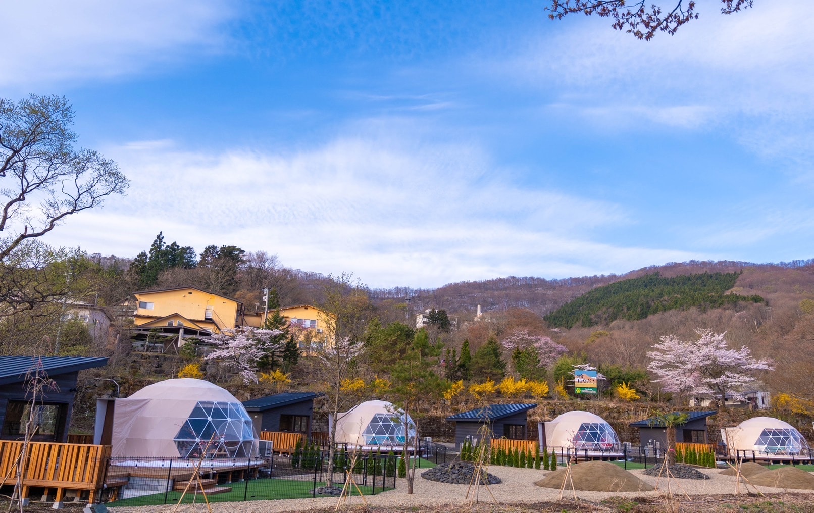 DOGlamping Appearance