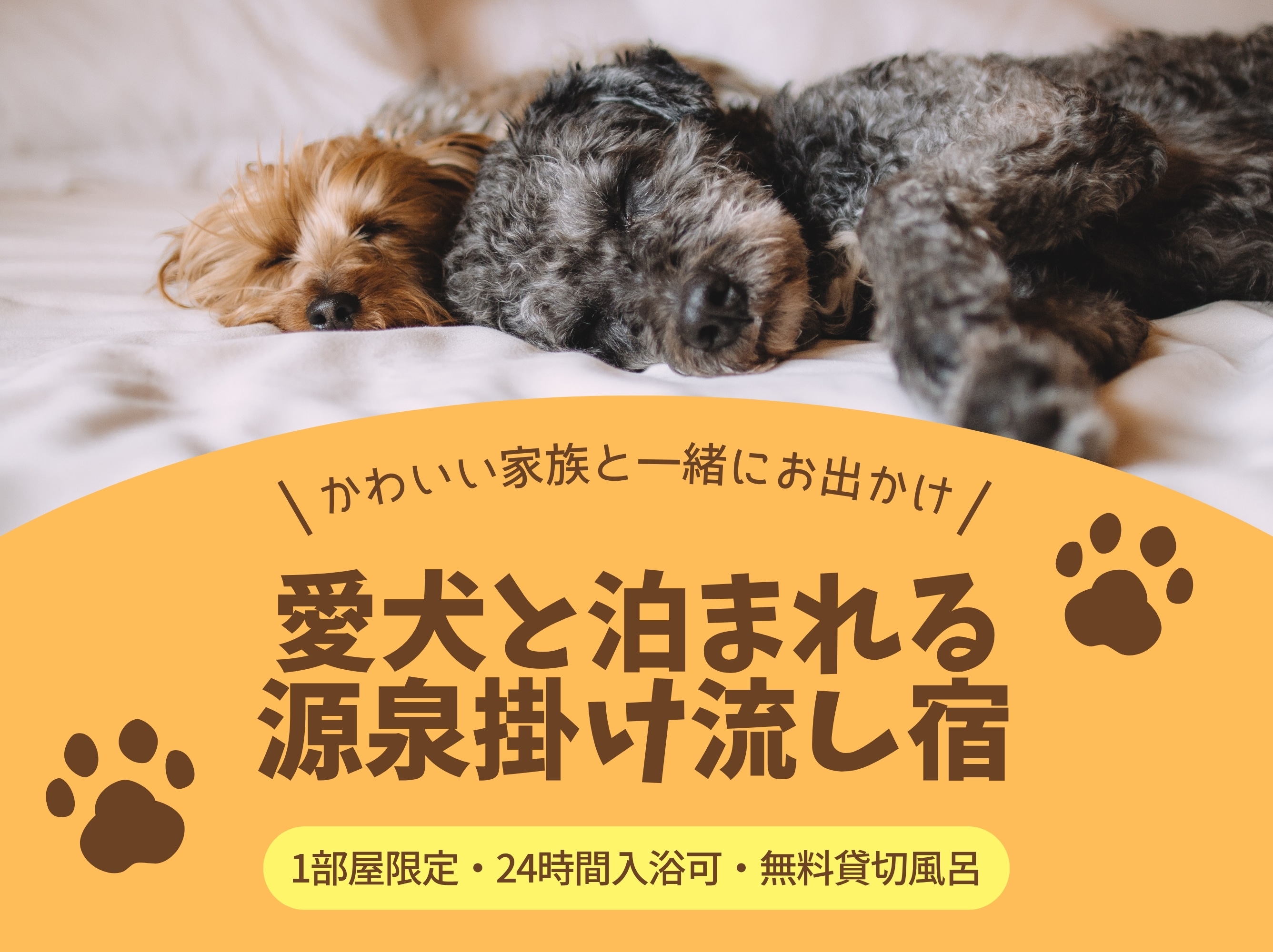 [保留您的宠物计划]