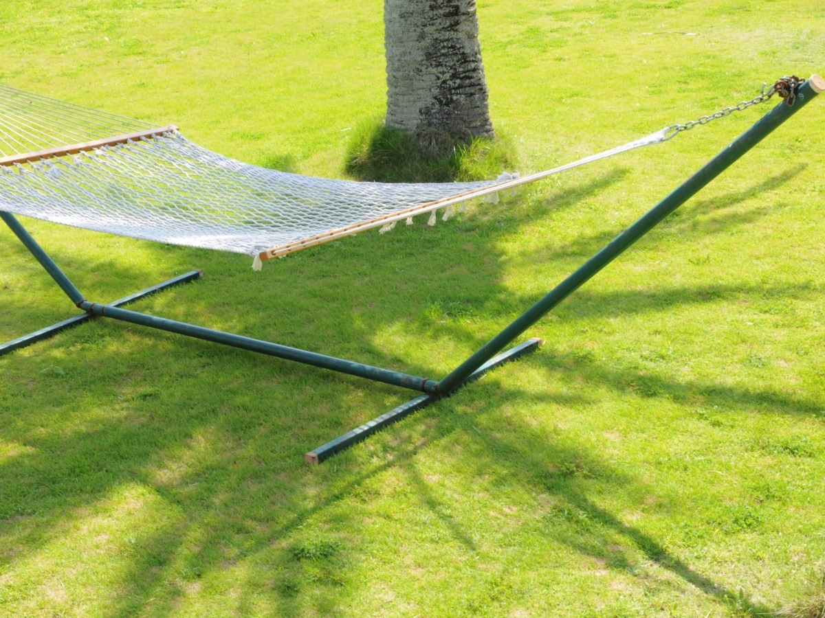 您可以在棕櫚樹蔭下的吊床上輕鬆小憩。