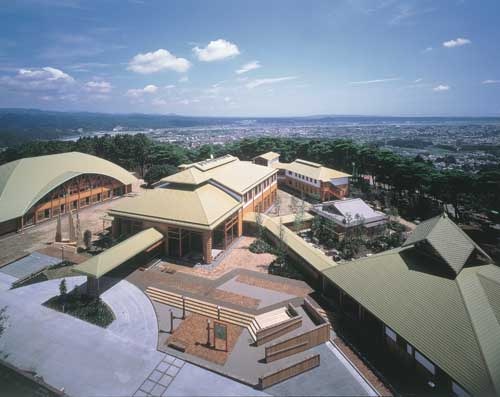 Appearance image