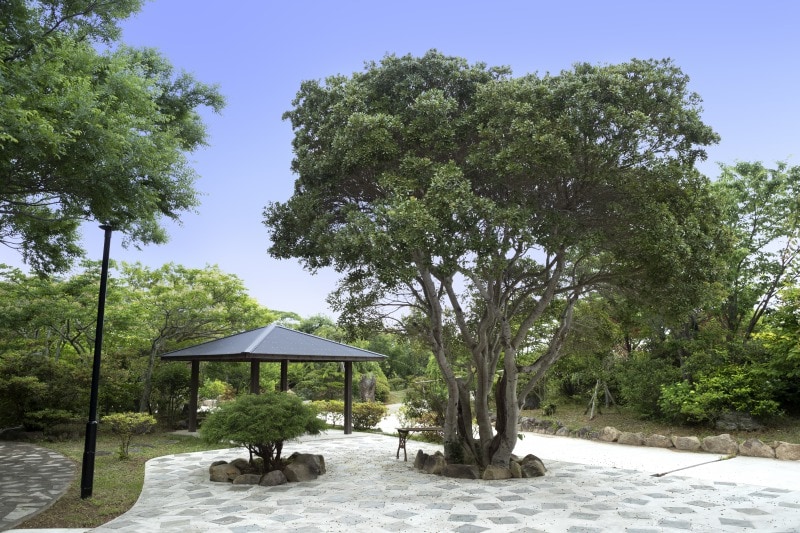 Garden / Azumaya