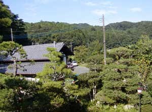 View from the room