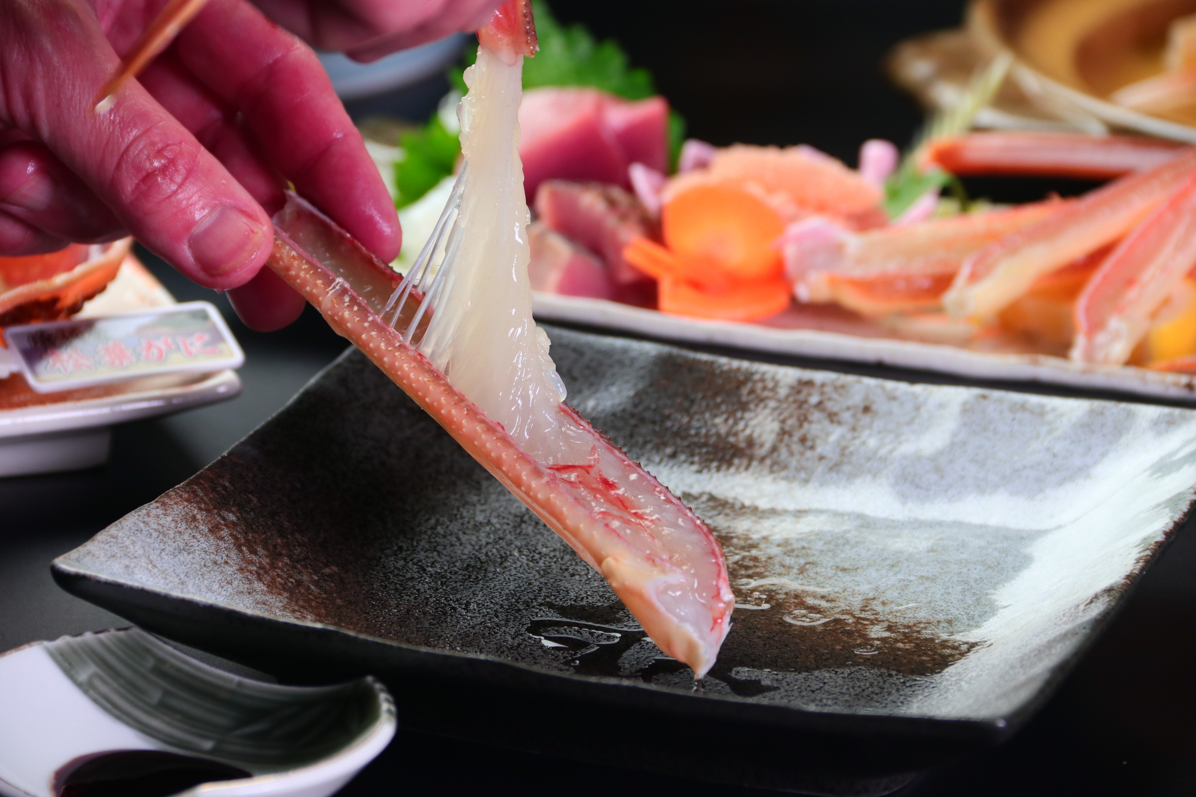 Live Matsuba crab, crab sashimi