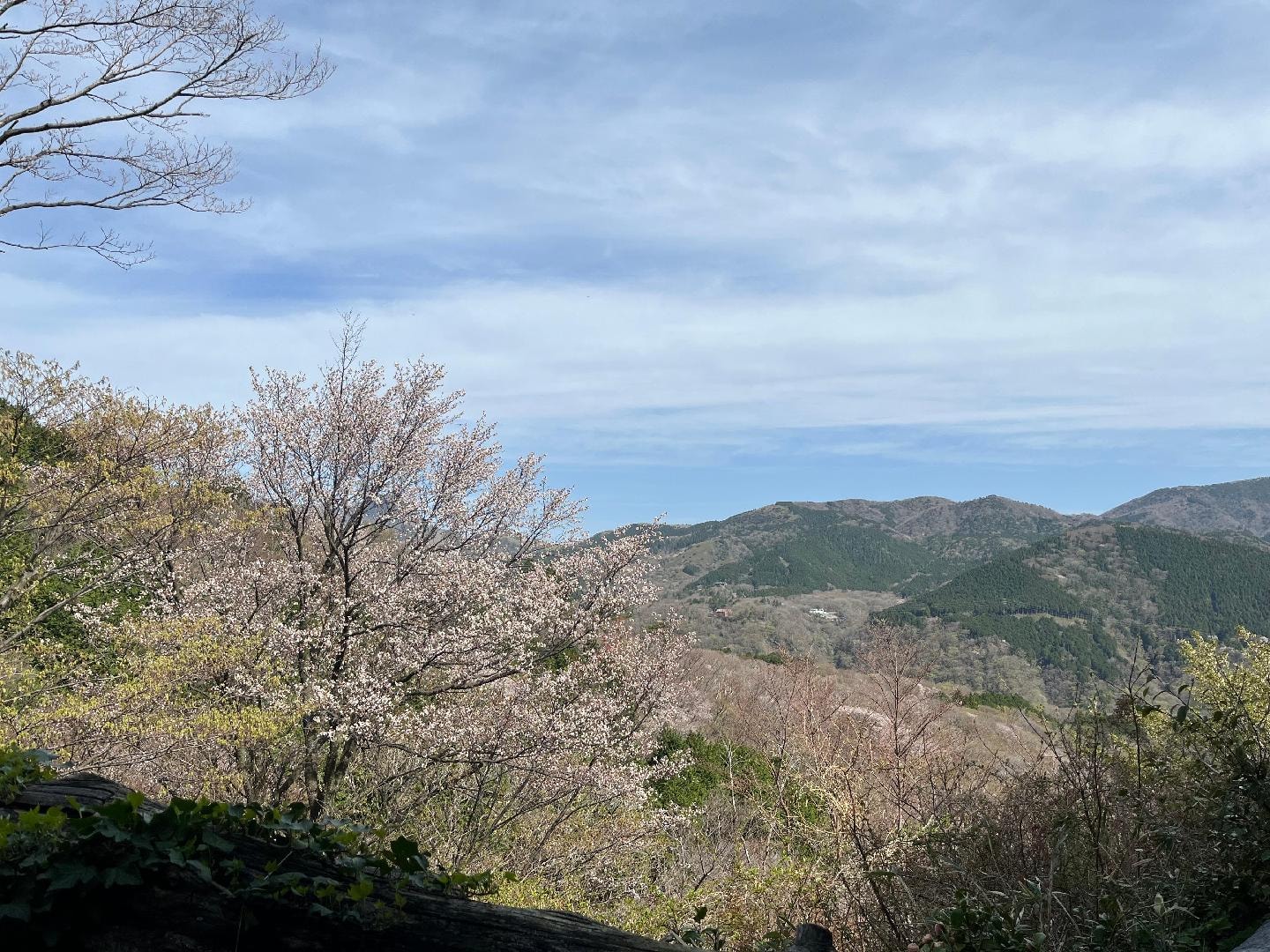 8FD2E675-EDFB-428B-8D67-69FA83817336.jpeg