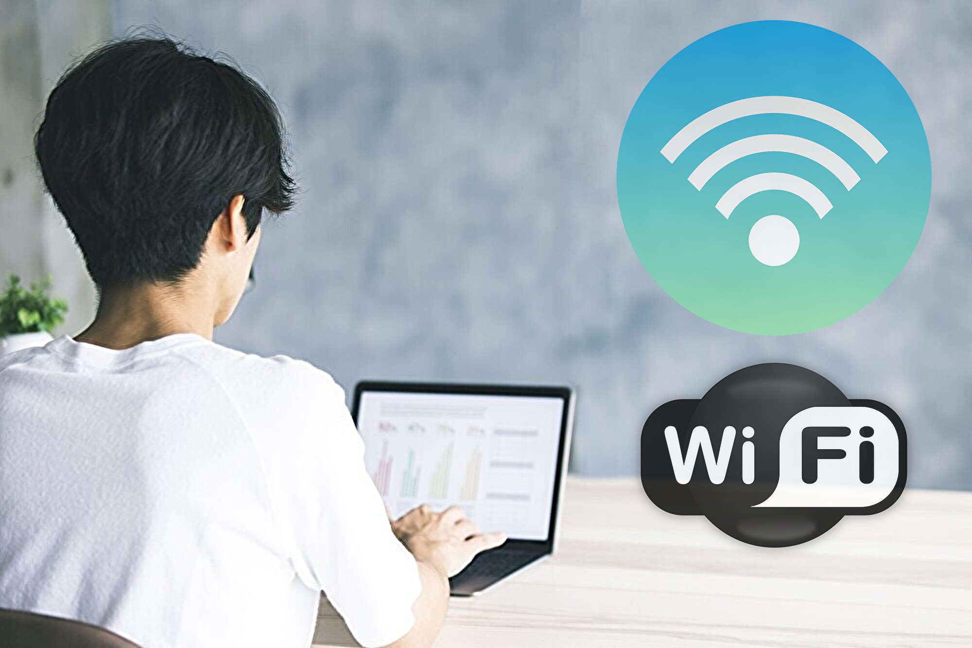 WIFI 무료 연결