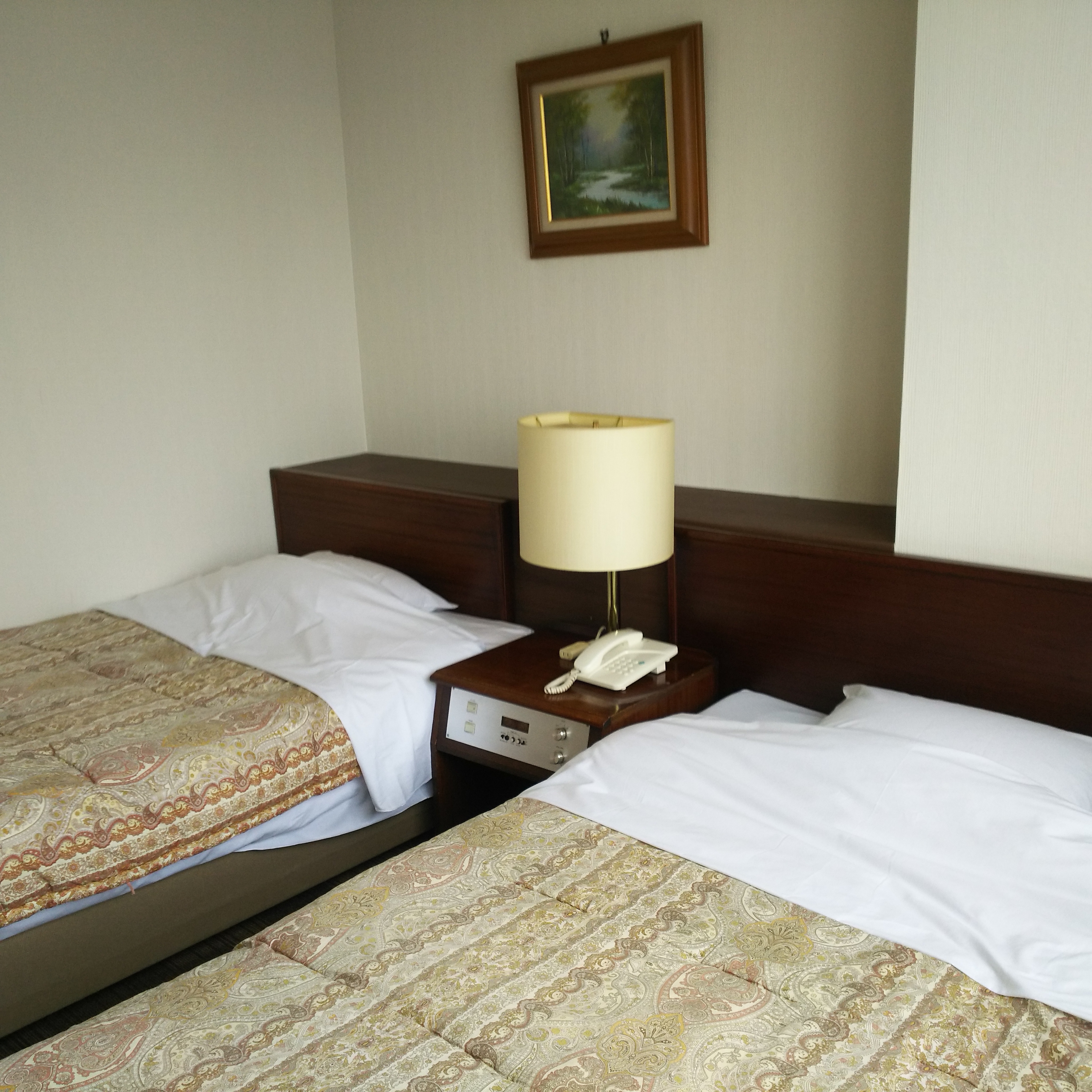 Twin Room