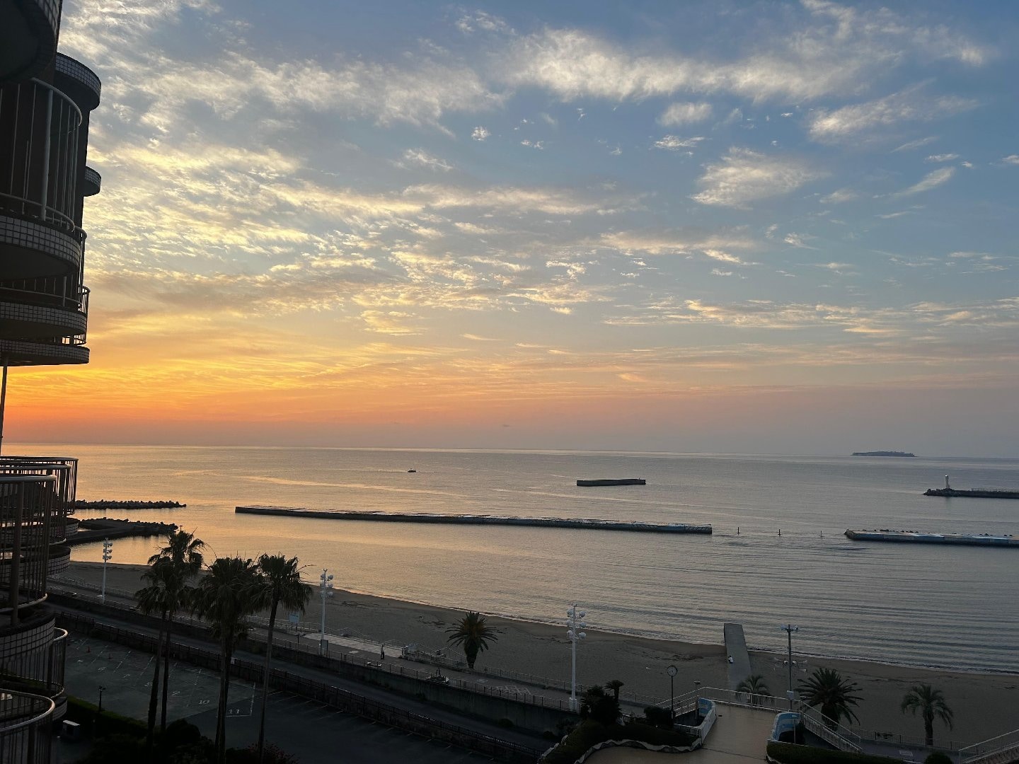 IMG_3379.jpeg