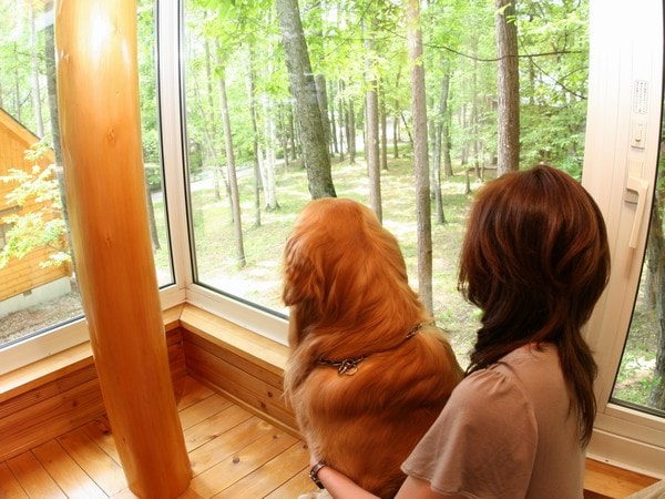 강아지와 함께 천천히 코티지 라이프를 즐기세요.