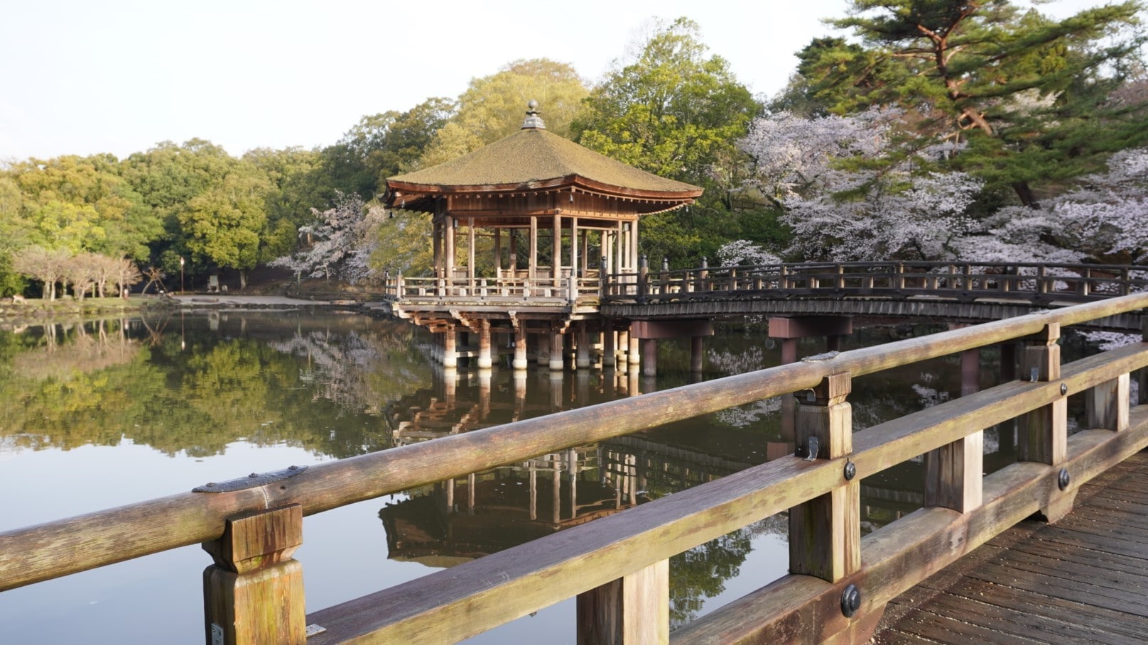 Nara sightseeing